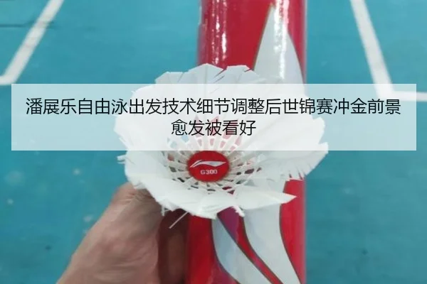 潘展乐自由泳出发技术细节调整后世锦赛冲金前景愈发被看好